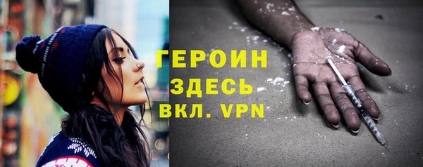 сатива Беломорск