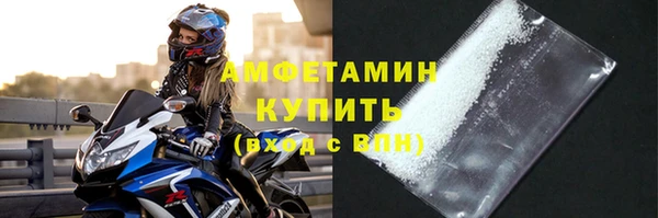 молекула духа Богородицк