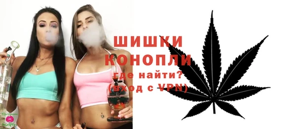 гашик Богородск