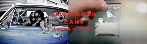 сатива Беломорск