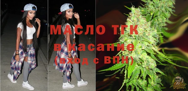 гашик Богородск