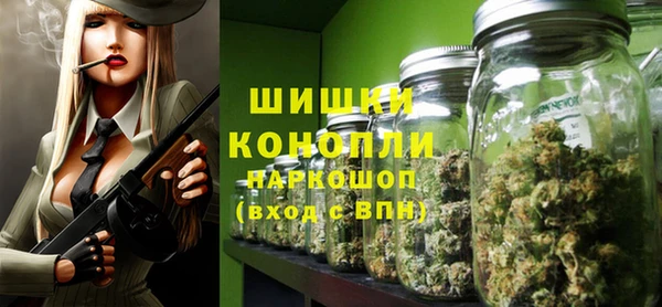 гашик Богородск