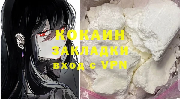 гашик Богородск