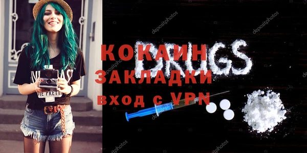 молекула духа Богородицк